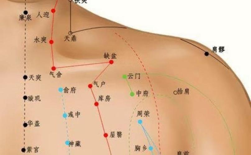 左侧肩膀有哪些穴位