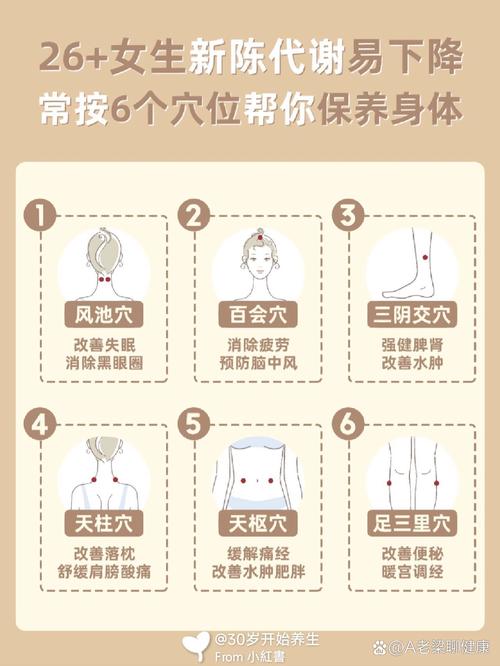 新陈代谢用穴位调理