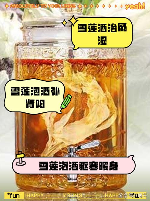 雪莲花泡酒能治风湿吗