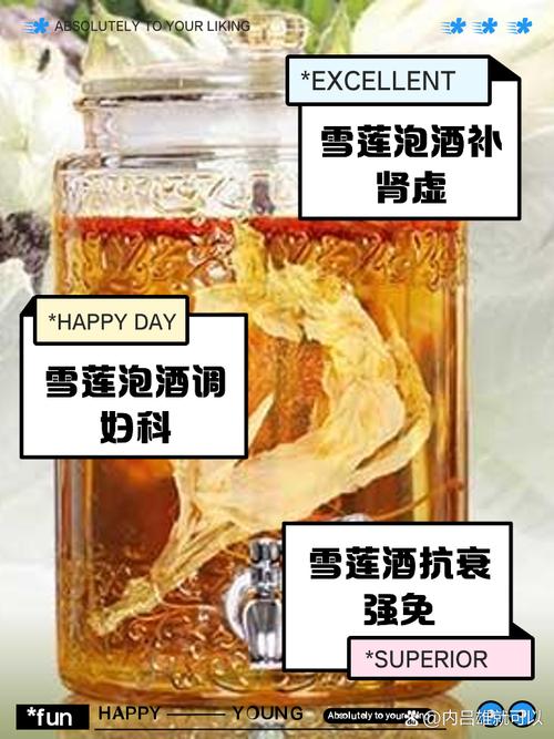 雪莲花泡酒能治风湿吗