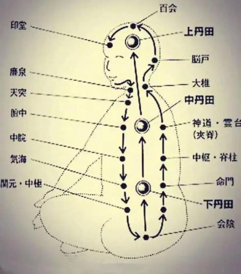 丹田丹田穴位位置图
