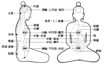 丹田丹田穴位位置图