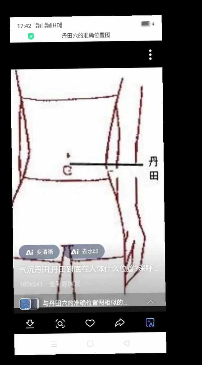 丹田丹田穴位位置图