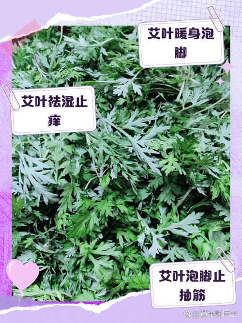 脑梗可以用艾草泡脚吗