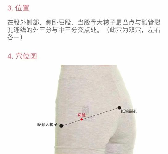环跳穴位的准确位置
