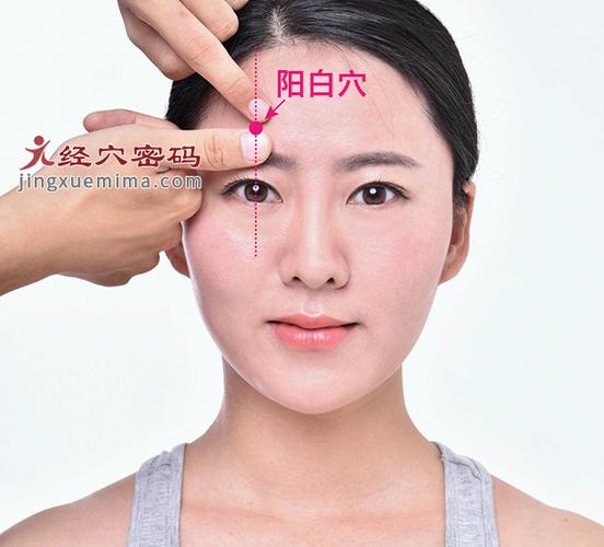 阳白阳白穴位位置图