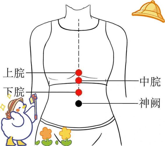 针灸肠胃有哪些穴位