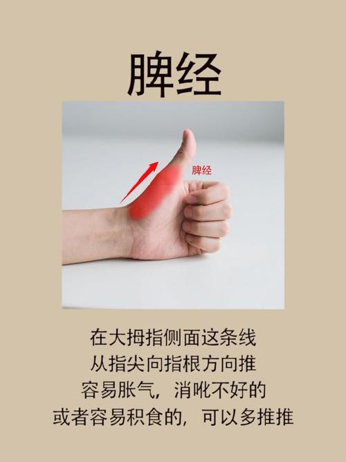 手上那个穴位治胃痛