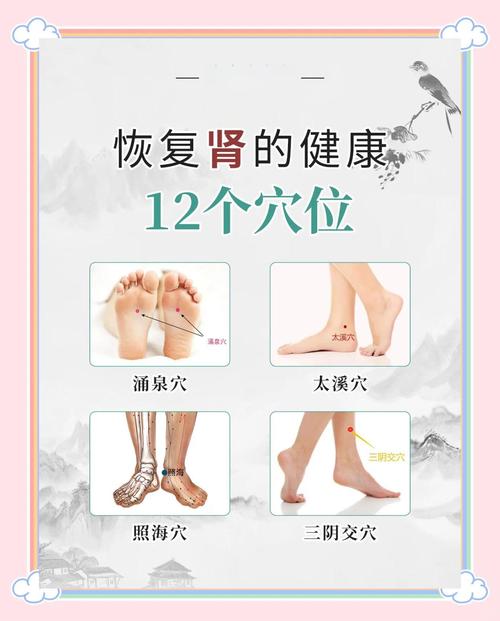 艾灸哪个穴位治肾炎