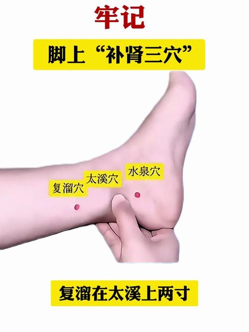 治疗肾虚的主要穴位