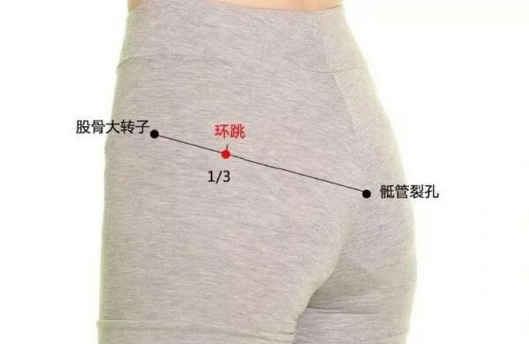 针灸环跳委阳穴位图
