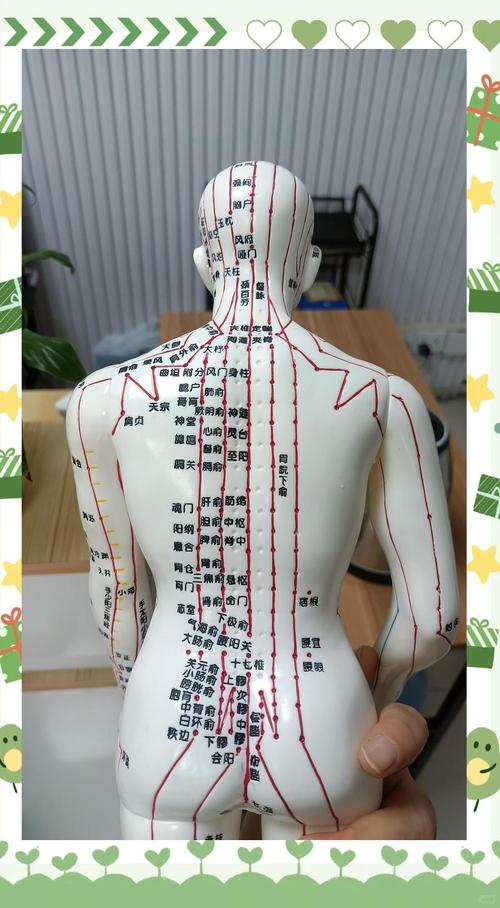 人体都有巨什么穴位