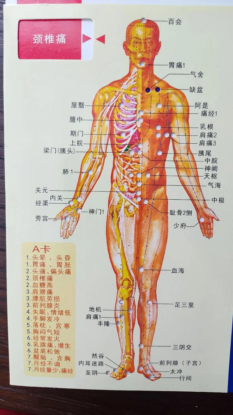 人体都有巨什么穴位