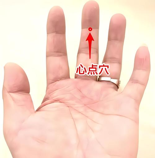 止血穴位 王文远