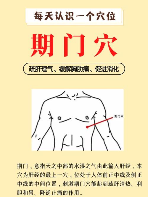 期门穴位准确位置图