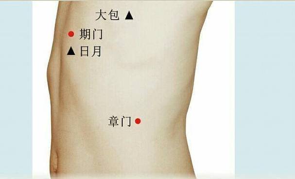 期门穴位准确位置图