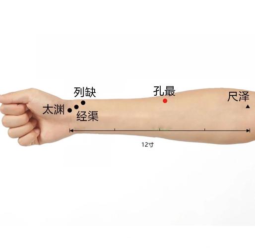 肺部重要穴位太渊穴
