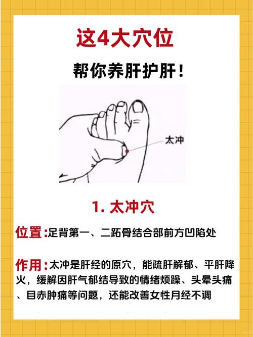 调养肝艾灸哪个穴位