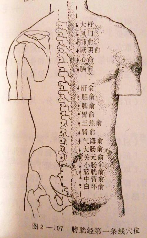 调养肝艾灸哪个穴位