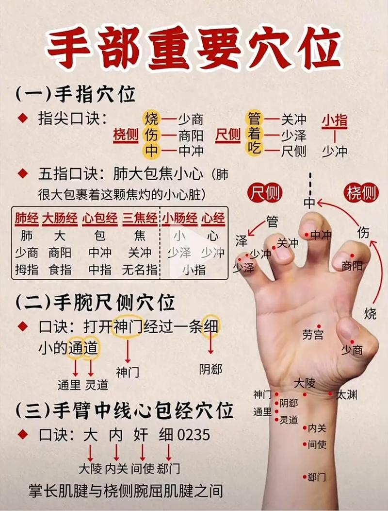 手小指上有什么穴位