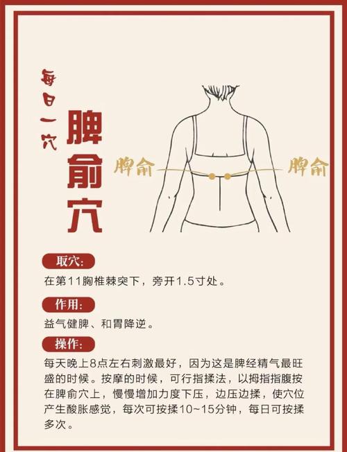 脾虚艾灸灸什么穴位