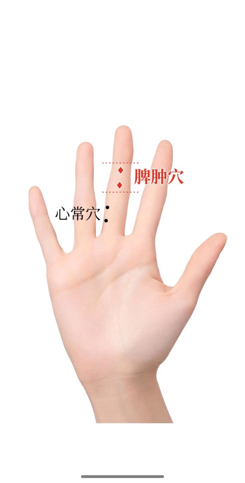 脾虚艾灸灸什么穴位