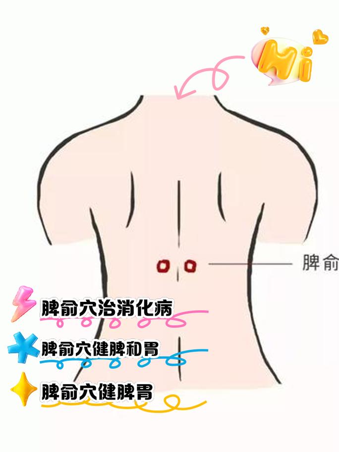 脾虚艾灸灸什么穴位