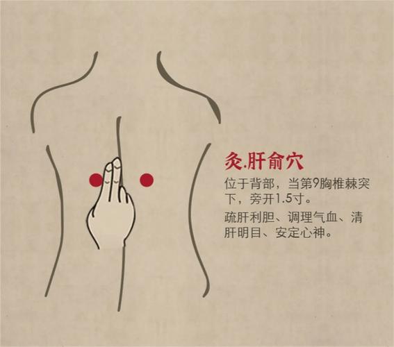 肝胆不和灸那些穴位