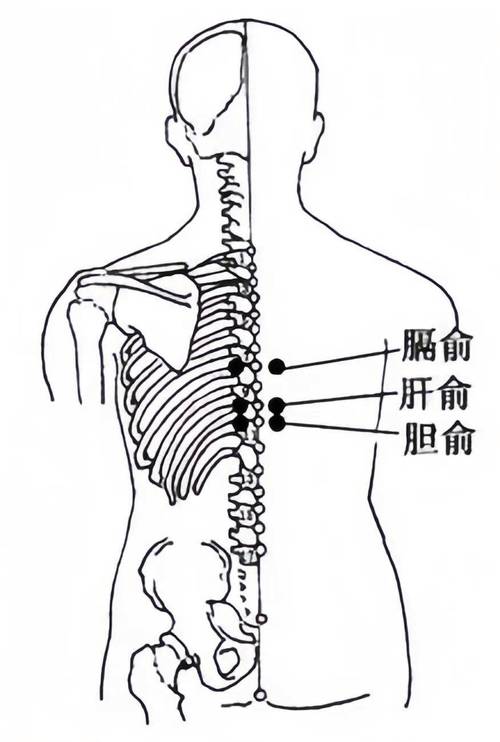 肝胆不和灸那些穴位