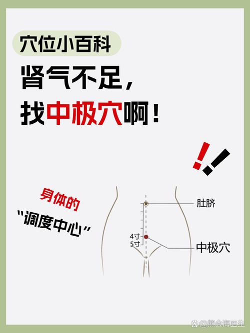 中极穴 穴位密码网