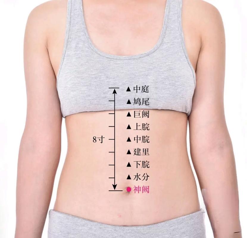 肚脐对应什么穴位图