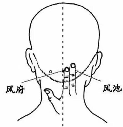 胆气虚按摩哪个穴位