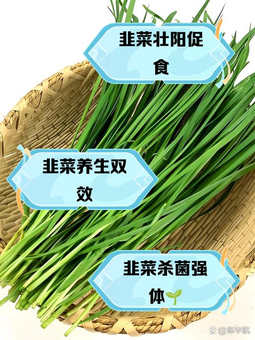 类风湿痛风能吃韭菜吗