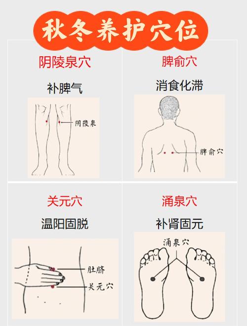 人体养生穴位位置图