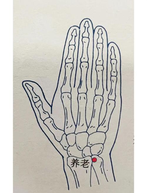 想长寿按摩哪个穴位