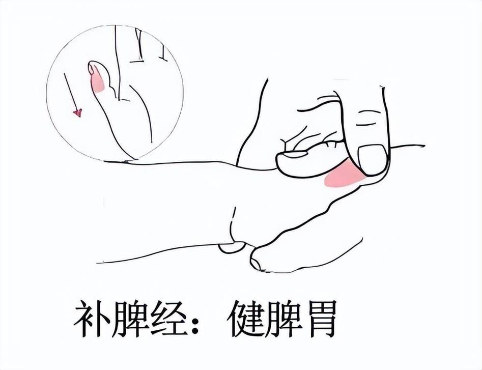 宝宝脾虚摩什么穴位