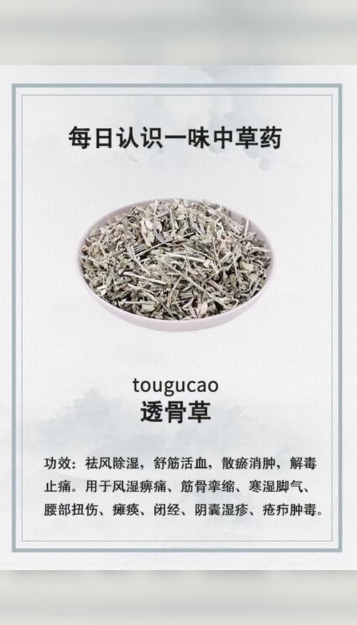 透骨草怎么用治类风湿