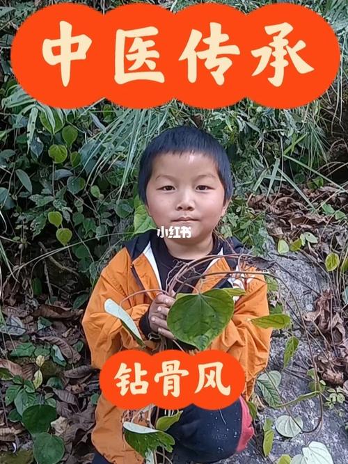 钻骨灵风湿有副作用吗