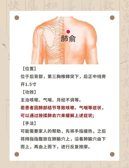 肺虚 按摩什么穴位