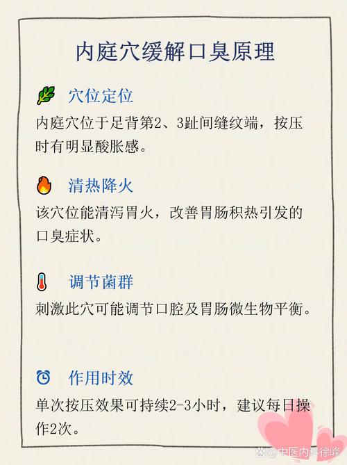 提高肠胃功能的穴位