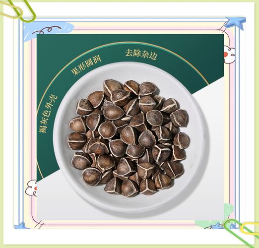 辣木籽对风湿有效果吗