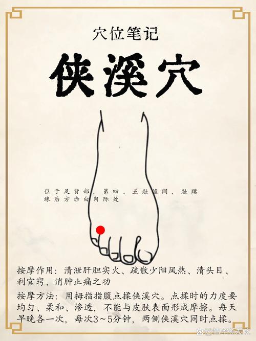 中渚侠溪穴位位置图