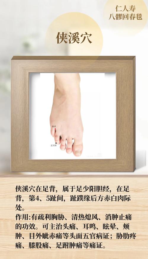 中渚侠溪穴位位置图