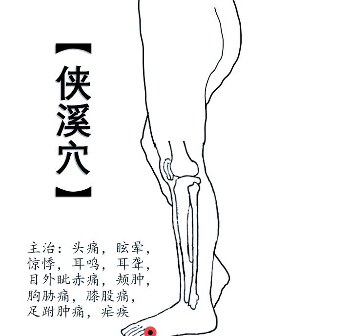 中渚侠溪穴位位置图