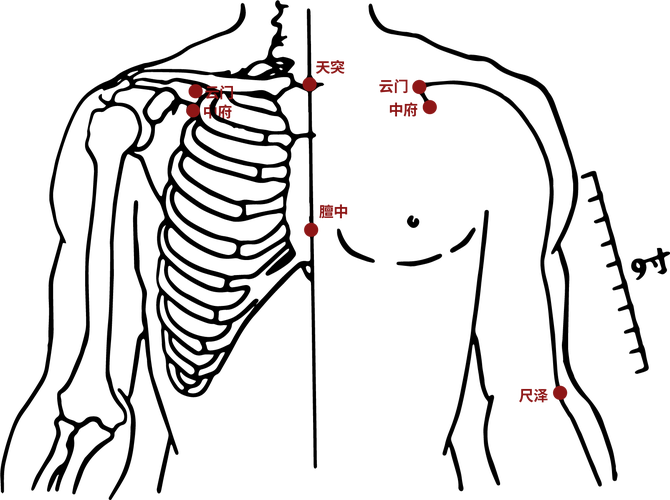 身体哪个穴位治咳嗽
