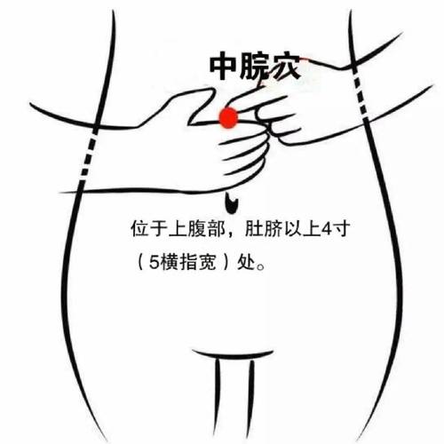 下半凉艾灸那个穴位