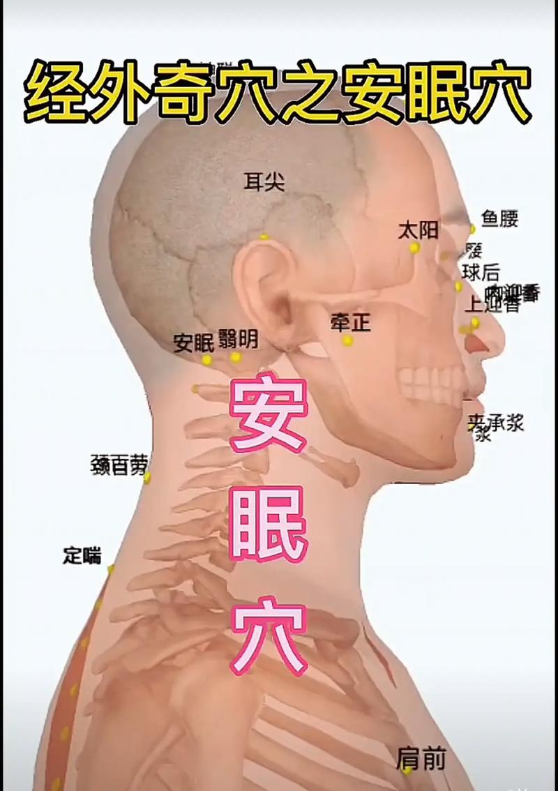 失眠穴位在怎么地方