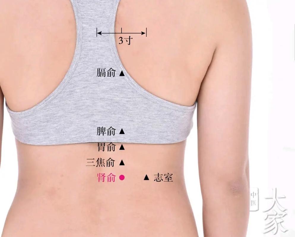 膀胱结石灸什么穴位