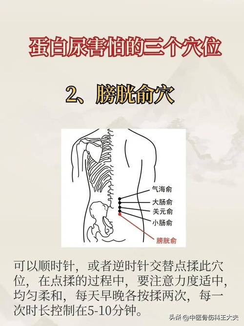 膀胱结石灸什么穴位