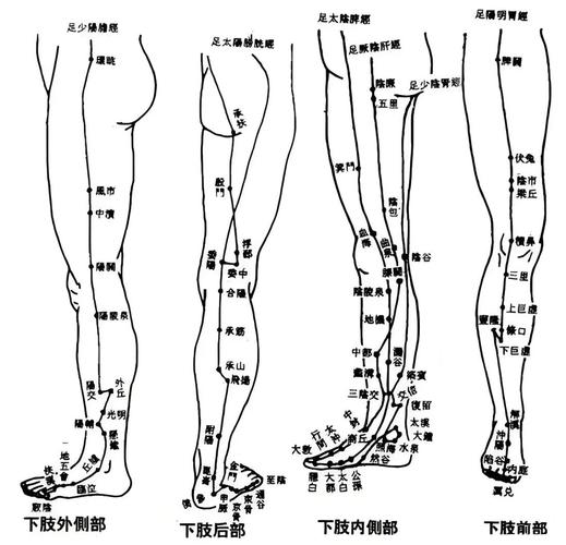 按哪个穴位可以腿长